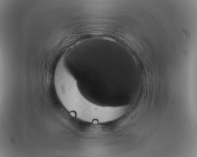X0000113260227200910081346