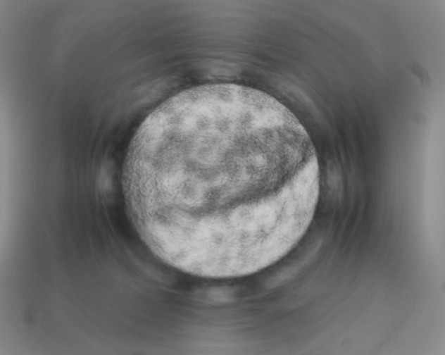 X0000113260228200910081346