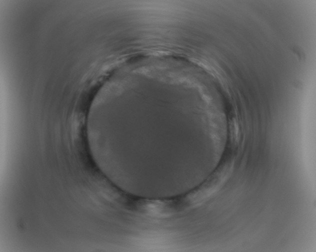 X0000113260229200910081346