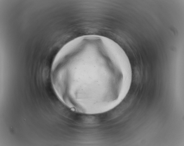 X0000113260230200910081346