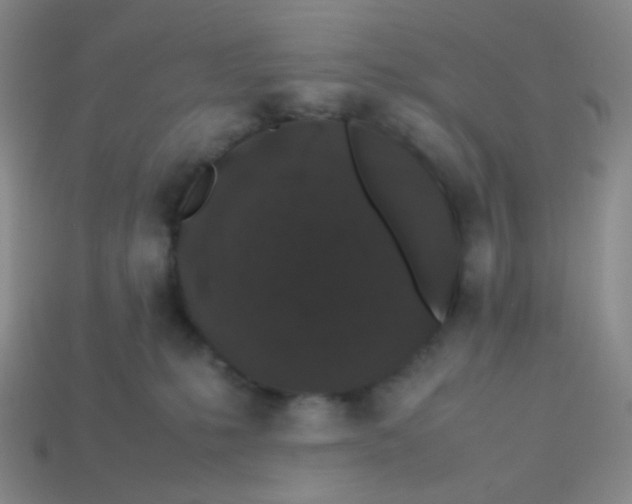 X0000113260231200910081346