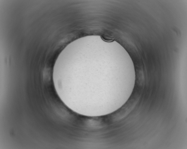 X0000113260232200910081346
