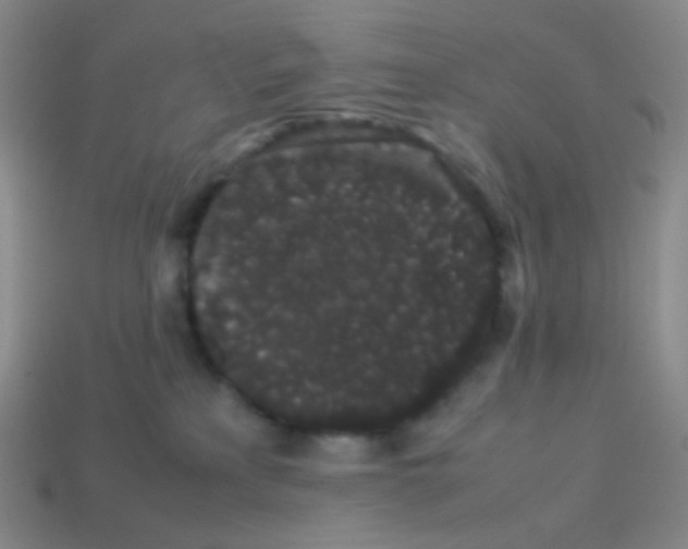X0000113260233200910081346