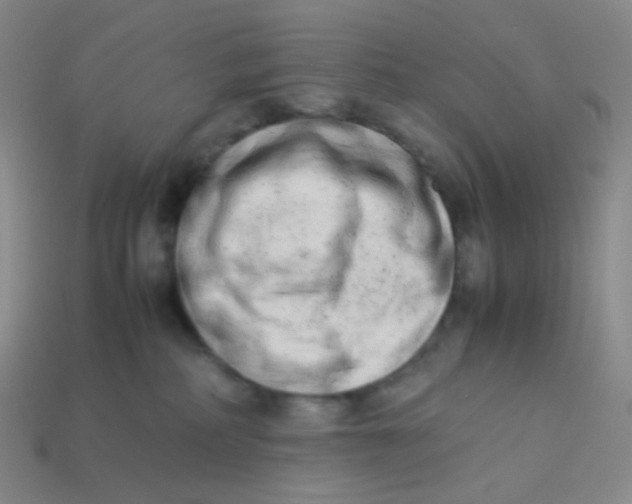 X0000113260234200910081346