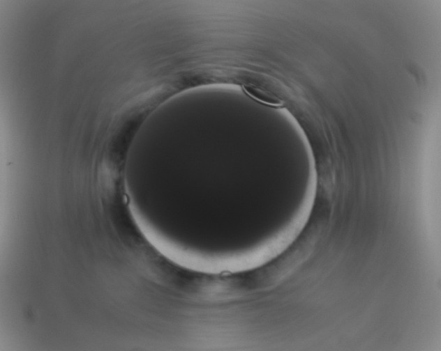 X0000113260235200910081346