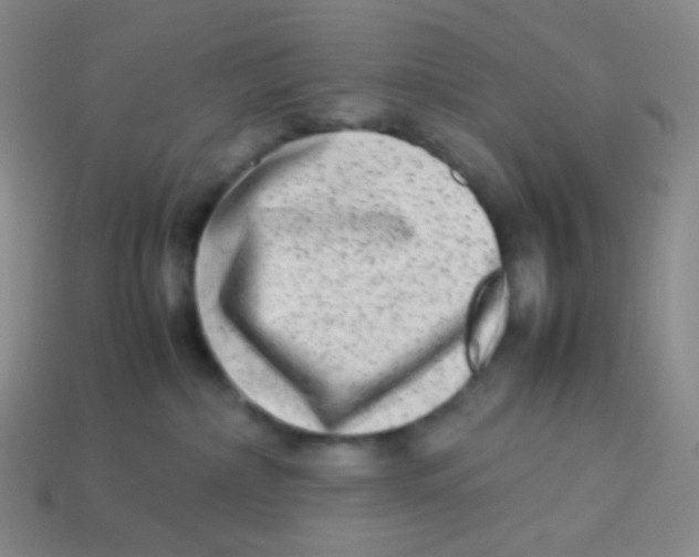 X0000113260236200910081346