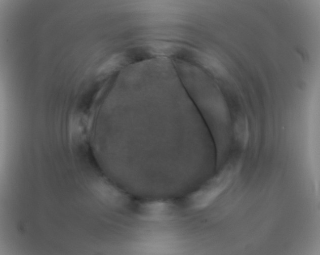 X0000113260237200910081346