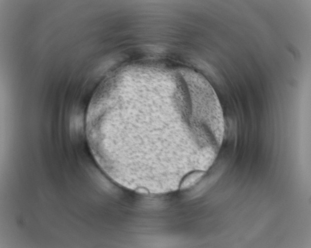 X0000113260238200910081346