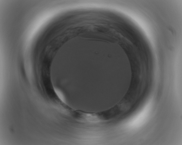X0000113260239200910081346
