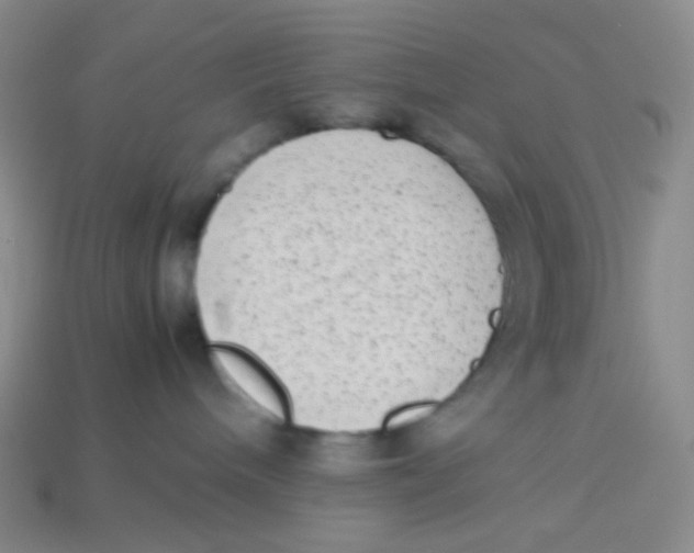 X0000113260240200910081346