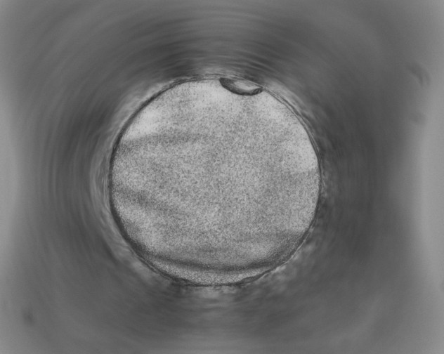 X0000113260241200910081345