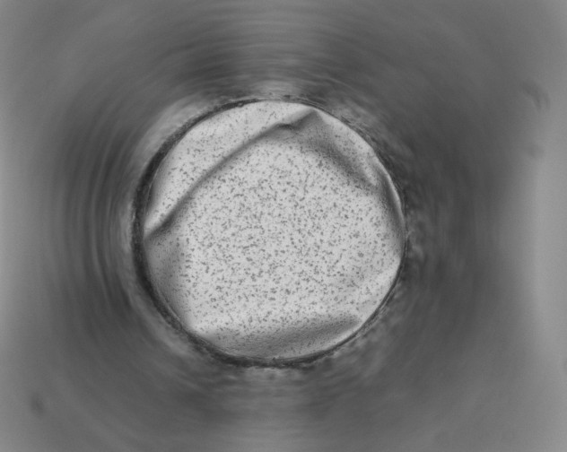 X0000113260242200910081345