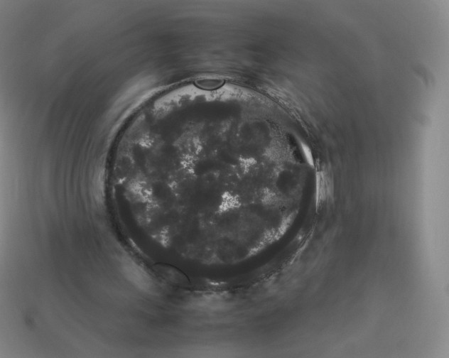 X0000113260243200910081345