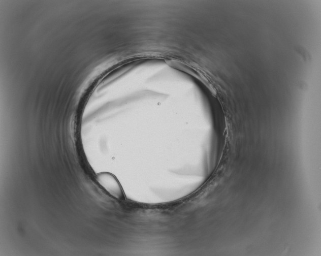 X0000113260244200910081345