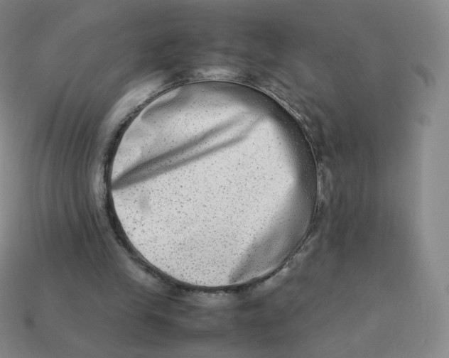X0000113260245200910081345