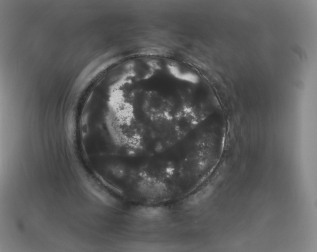 X0000113260247200910081345
