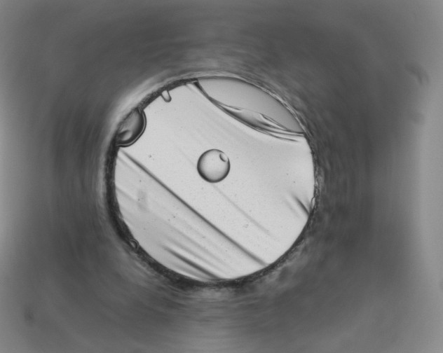 X0000113260248200910081345