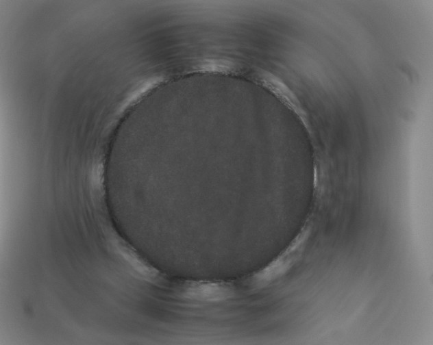 X0000113260249200910081345