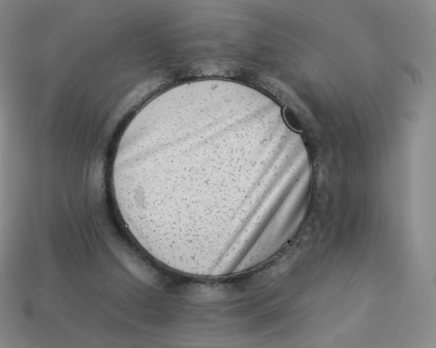 X0000113260250200910081345