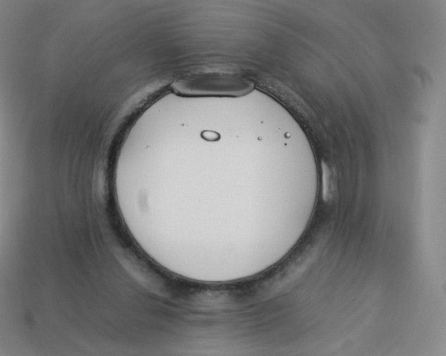 X0000113260252200910081345