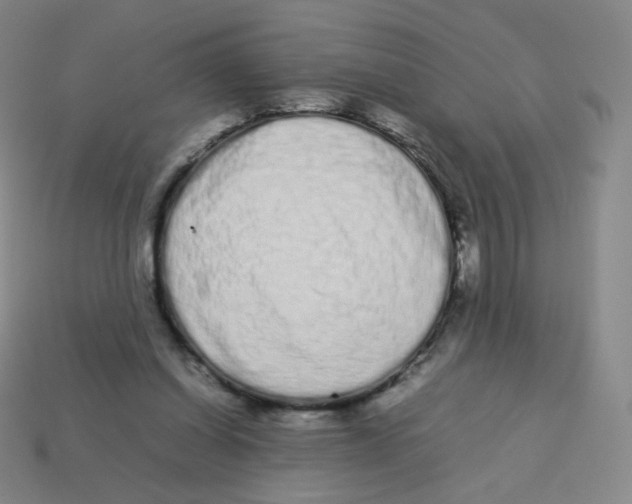 X0000113260254200910081345