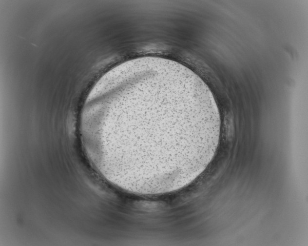 X0000113260255200910081345