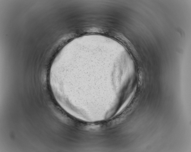 X0000113260257200910081345