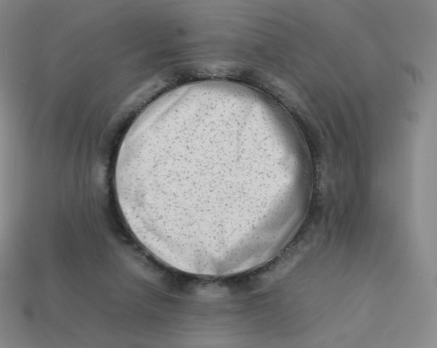 X0000113260258200910081345