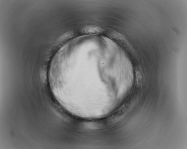 X0000113260259200910081345