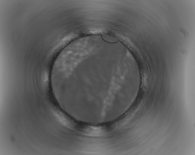 X0000113260260200910081345