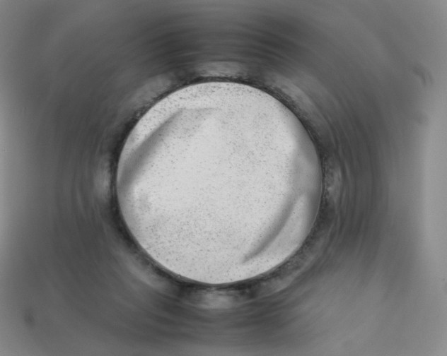 X0000113260261200910081345