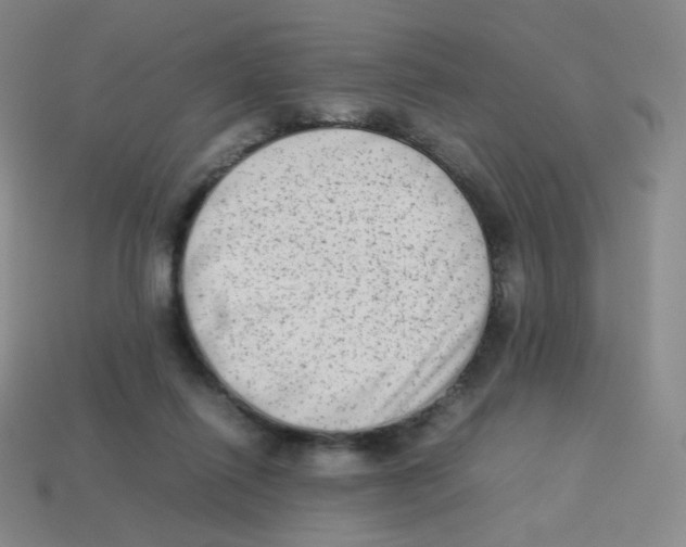 X0000113260262200910081345
