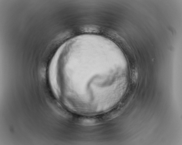 X0000113260263200910081345