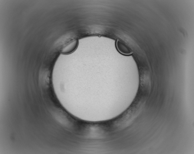 X0000113260264200910081345