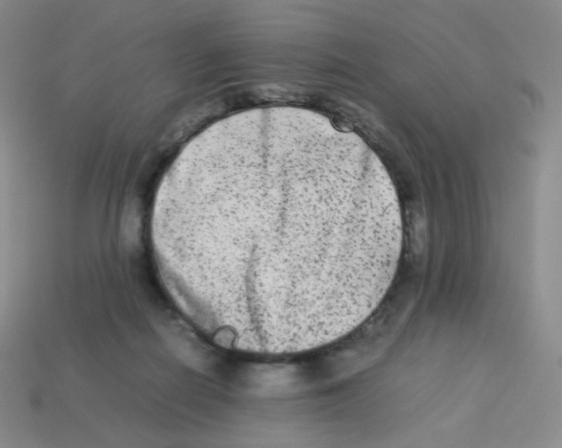 X0000113260266200910081345