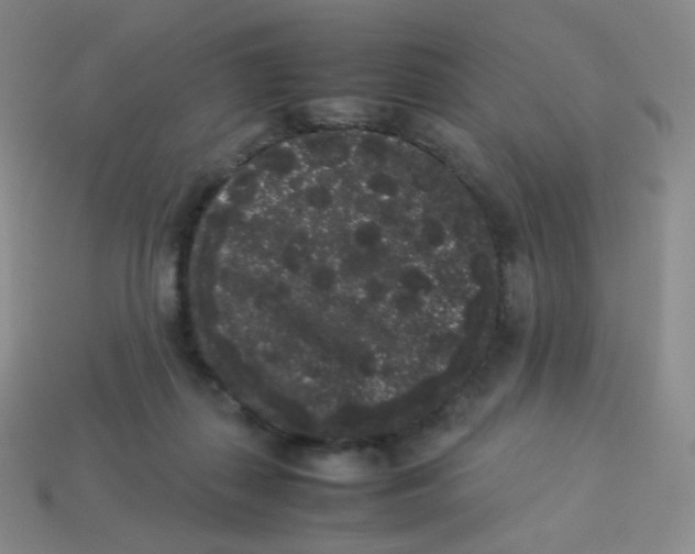 X0000113260267200910081345