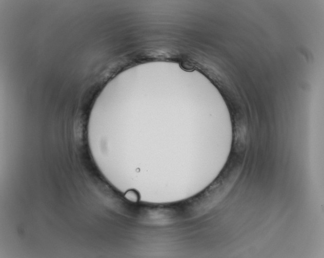 X0000113260268200910081345