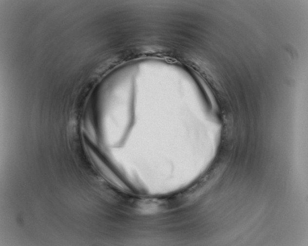 X0000113260269200910081346
