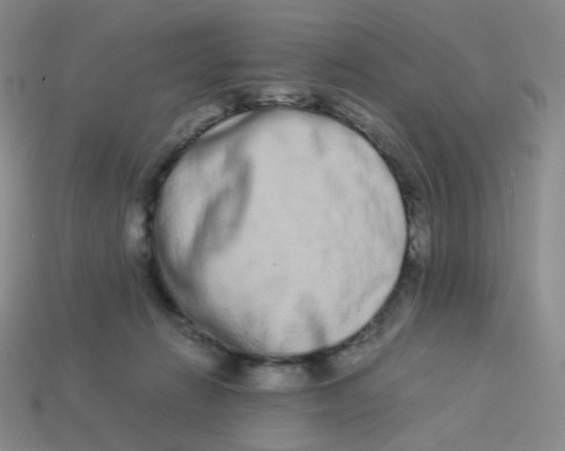X0000113260270200910081346