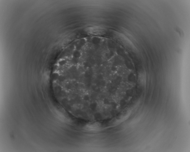 X0000113260271200910081346