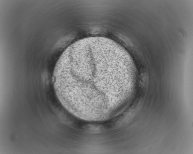 X0000113260272200910081346