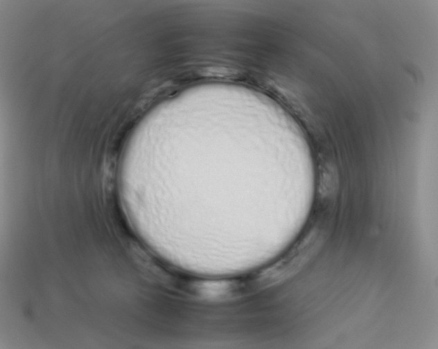 X0000113260273200910081346