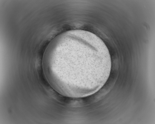 X0000113260274200910081346