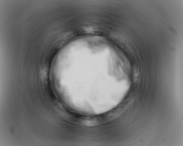 X0000113260275200910081346
