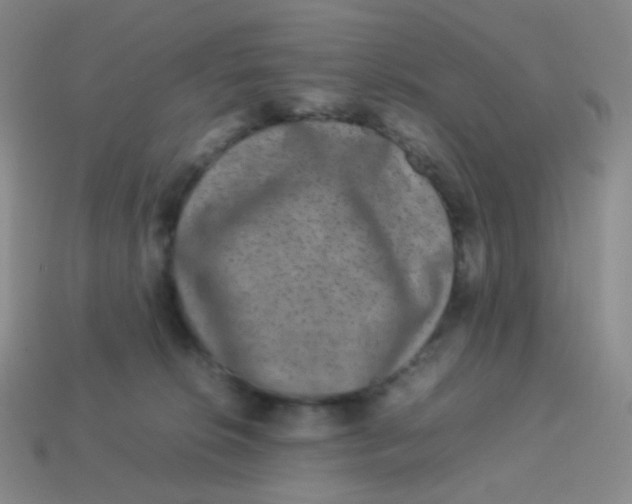 X0000113260276200910081346