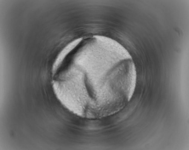 X0000113260277200910081346