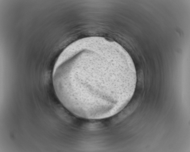 X0000113260278200910081346