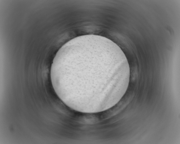 X0000113260279200910081346