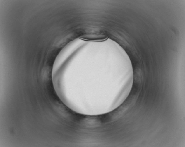 X0000113260280200910081346
