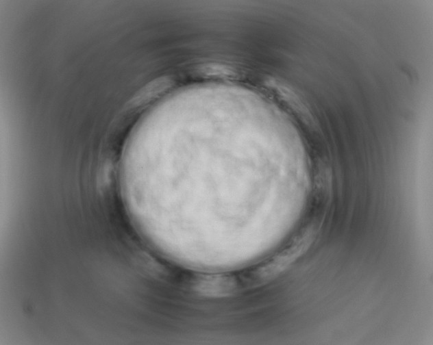 X0000113260281200910081346
